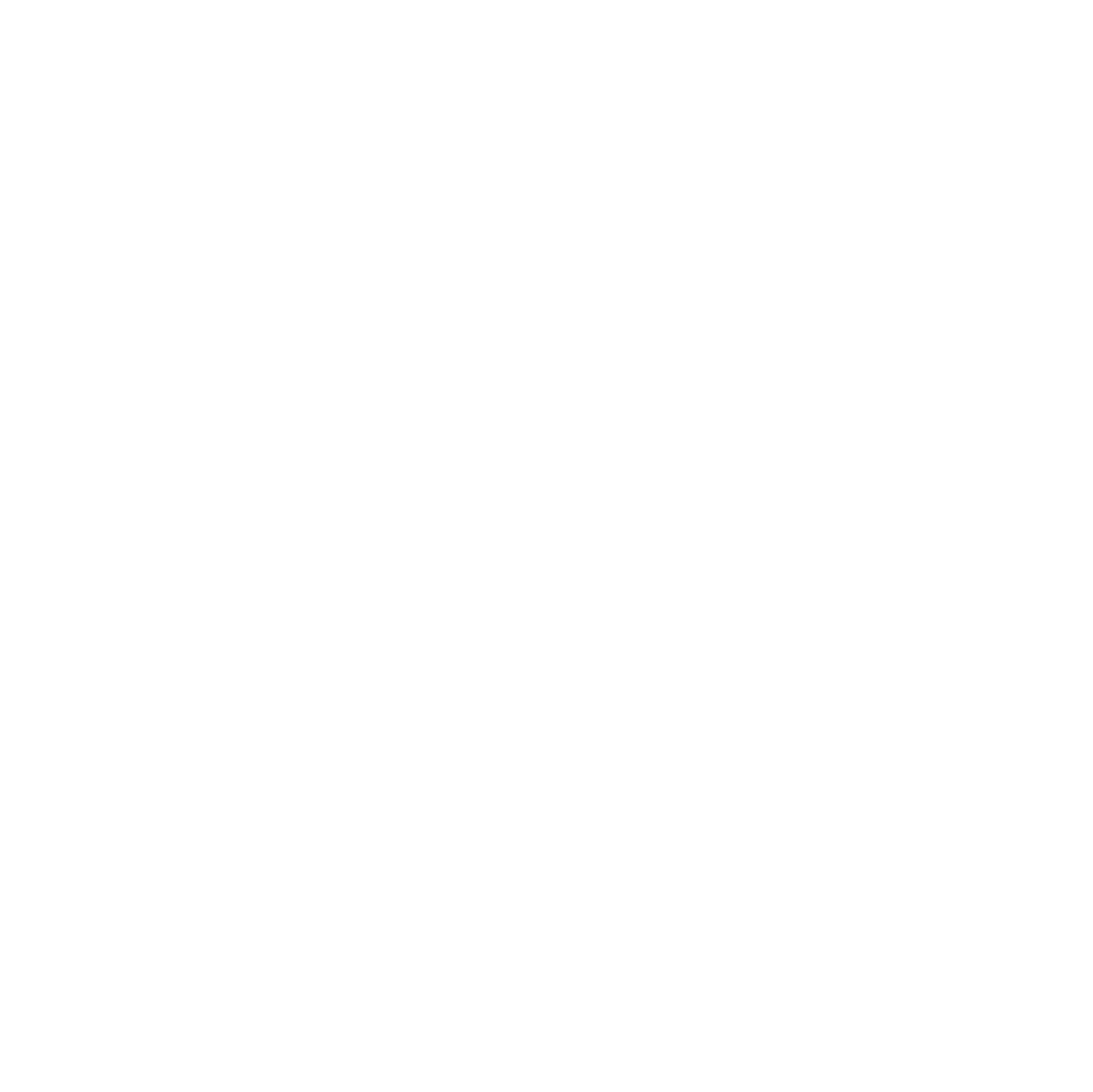Lacer Academy